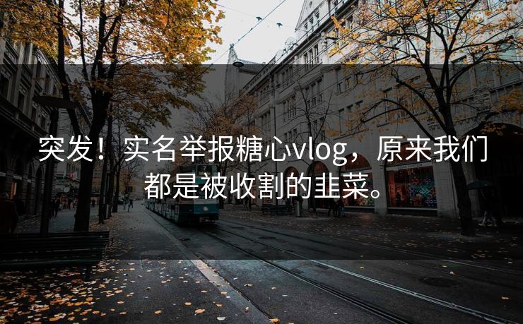 突发！实名举报糖心vlog，原来我们都是被收割的韭菜。