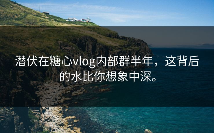 潜伏在糖心vlog内部群半年，这背后的水比你想象中深。