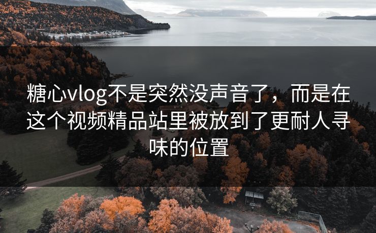 糖心vlog不是突然没声音了，而是在这个视频精品站里被放到了更耐人寻味的位置